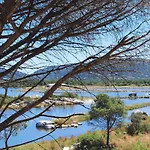 In Corsica Near Palombaggia *